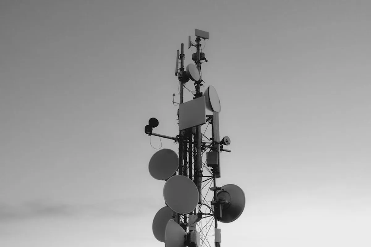 The Search Signals Behind mollygram.com for App and Software Readers